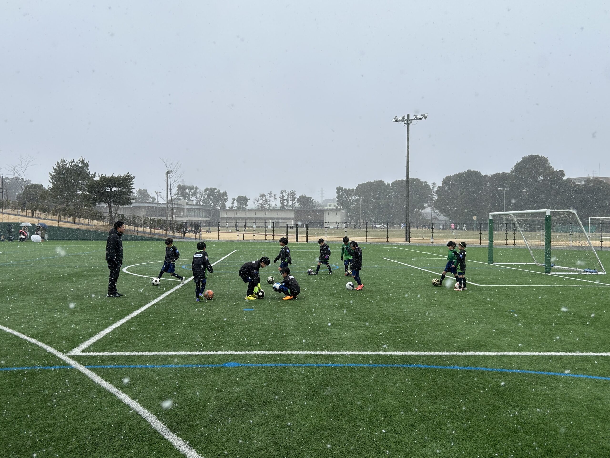 女子アイスホッケー