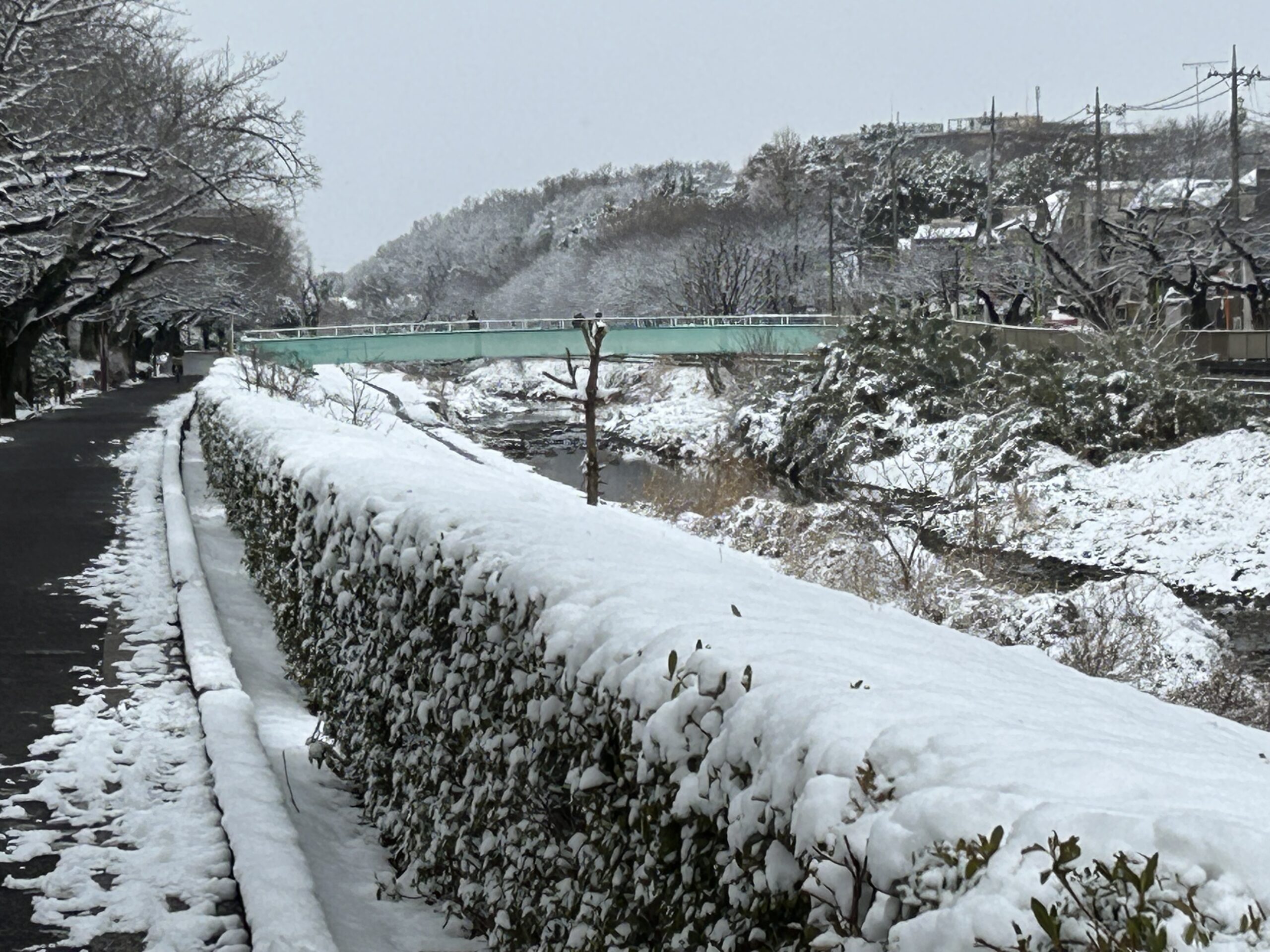 Jリーグ百年構想リーグ